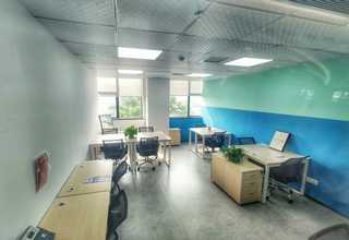 普陀造型树修剪大概费用