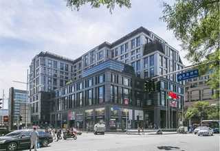 松江区办公室盆景绿植租赁园林